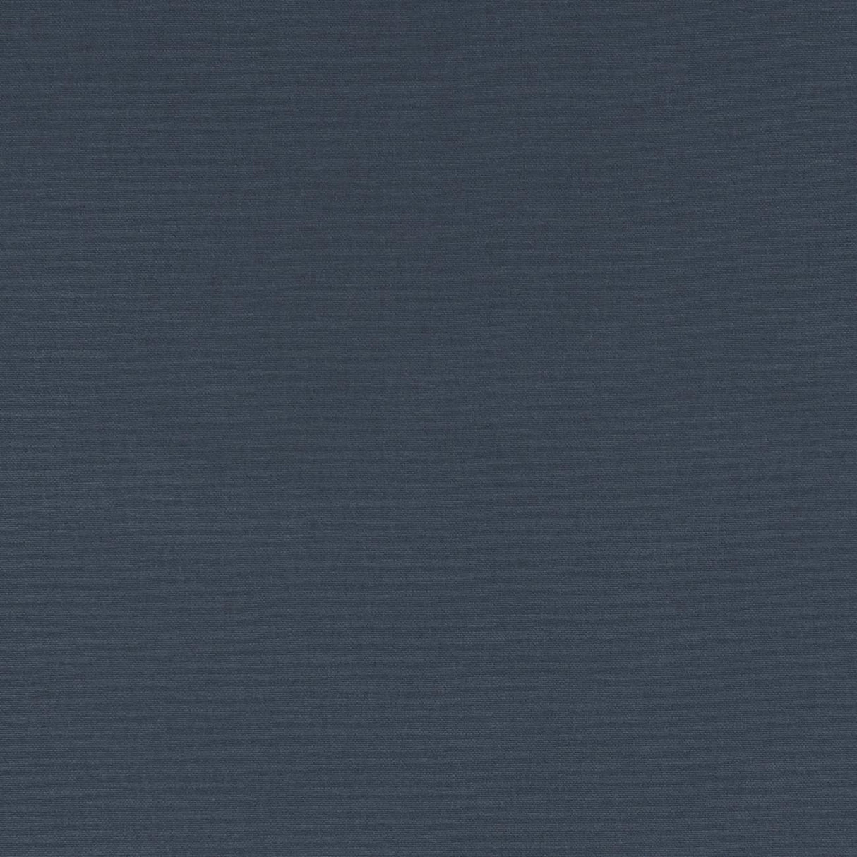 Clarke & Clarke ALORA INK Fabric