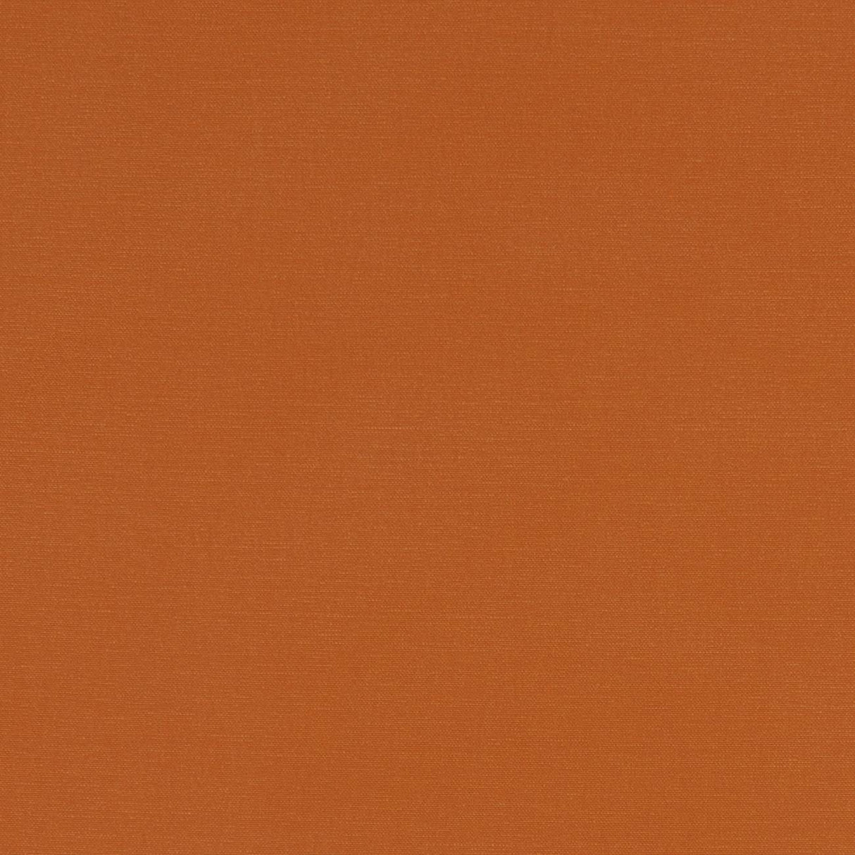 Clarke & Clarke ALORA SPICE Fabric