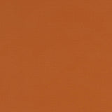 Clarke & Clarke ALORA SPICE Fabric