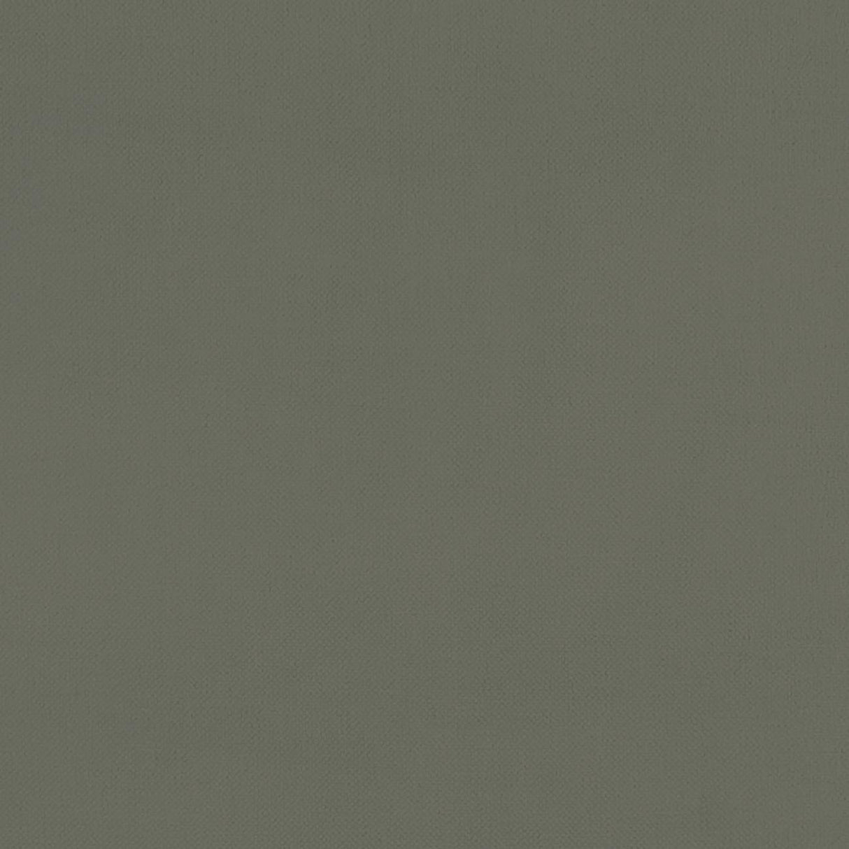 Clarke & Clarke RENZO CHARCOAL Fabric