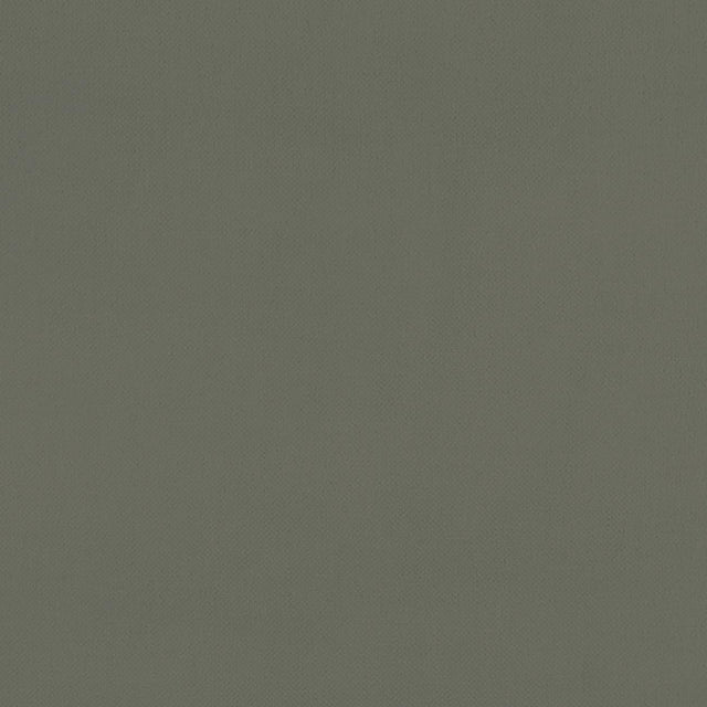 Clarke & Clarke RENZO CHARCOAL Fabric