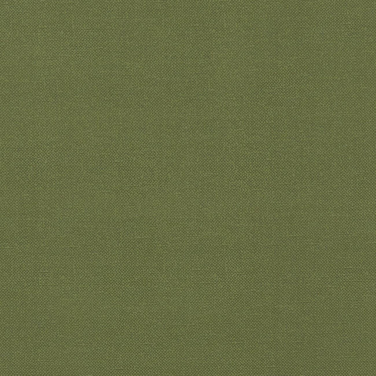 Clarke & Clarke RENZO FOREST Fabric