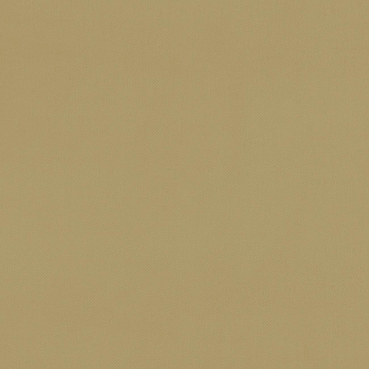 Clarke & Clarke RENZO OCHRE Fabric