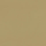 Clarke & Clarke RENZO OCHRE Fabric