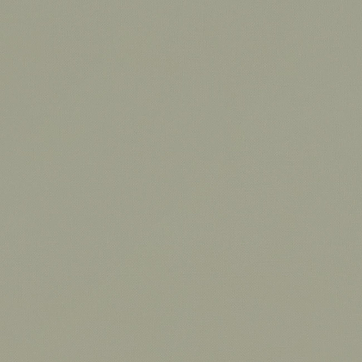 Clarke & Clarke RENZO SAGE Fabric