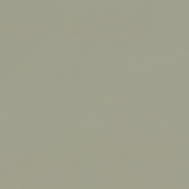 Clarke & Clarke RENZO SAGE Fabric