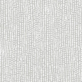 Clarke & Clarke RAINFALL GREY Fabric