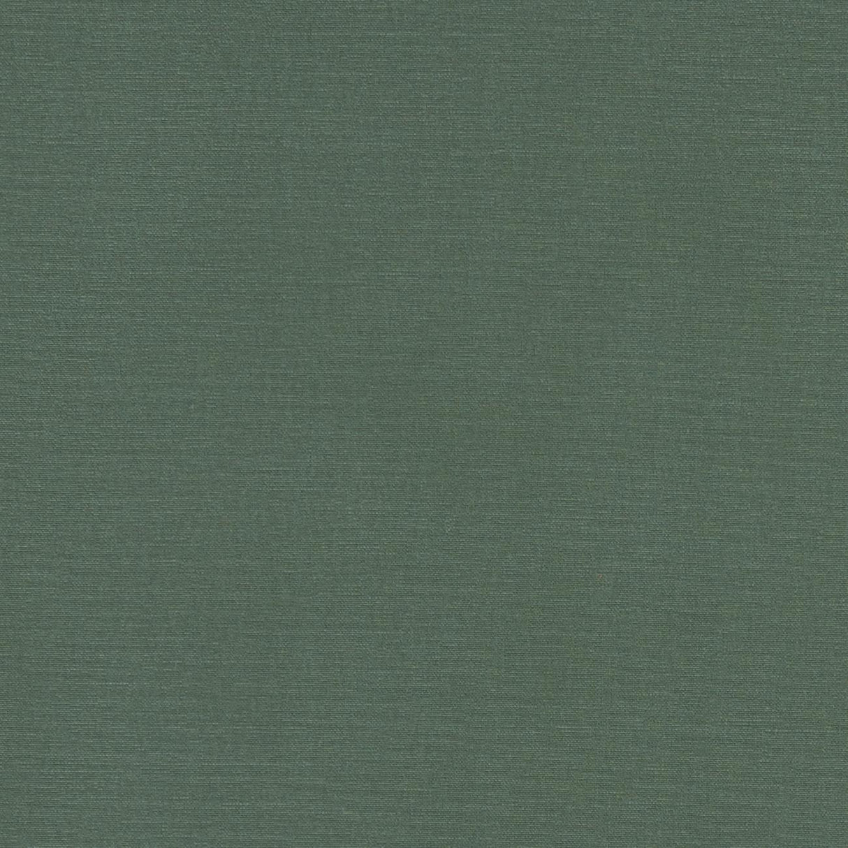 Clarke & Clarke ALORA FOREST Fabric