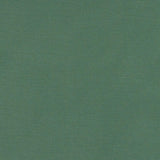 Clarke & Clarke ALORA LEAF Fabric