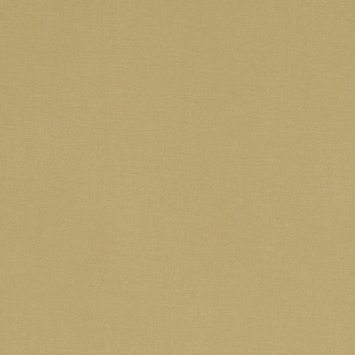 Clarke & Clarke ALORA MALT Fabric