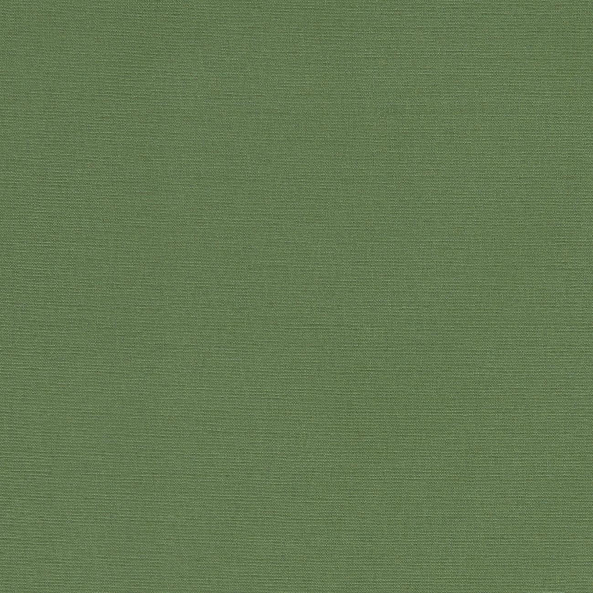 Clarke & Clarke ALORA PALM Fabric