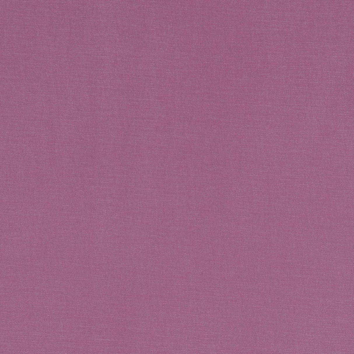 Clarke & Clarke ALORA SORBET Fabric