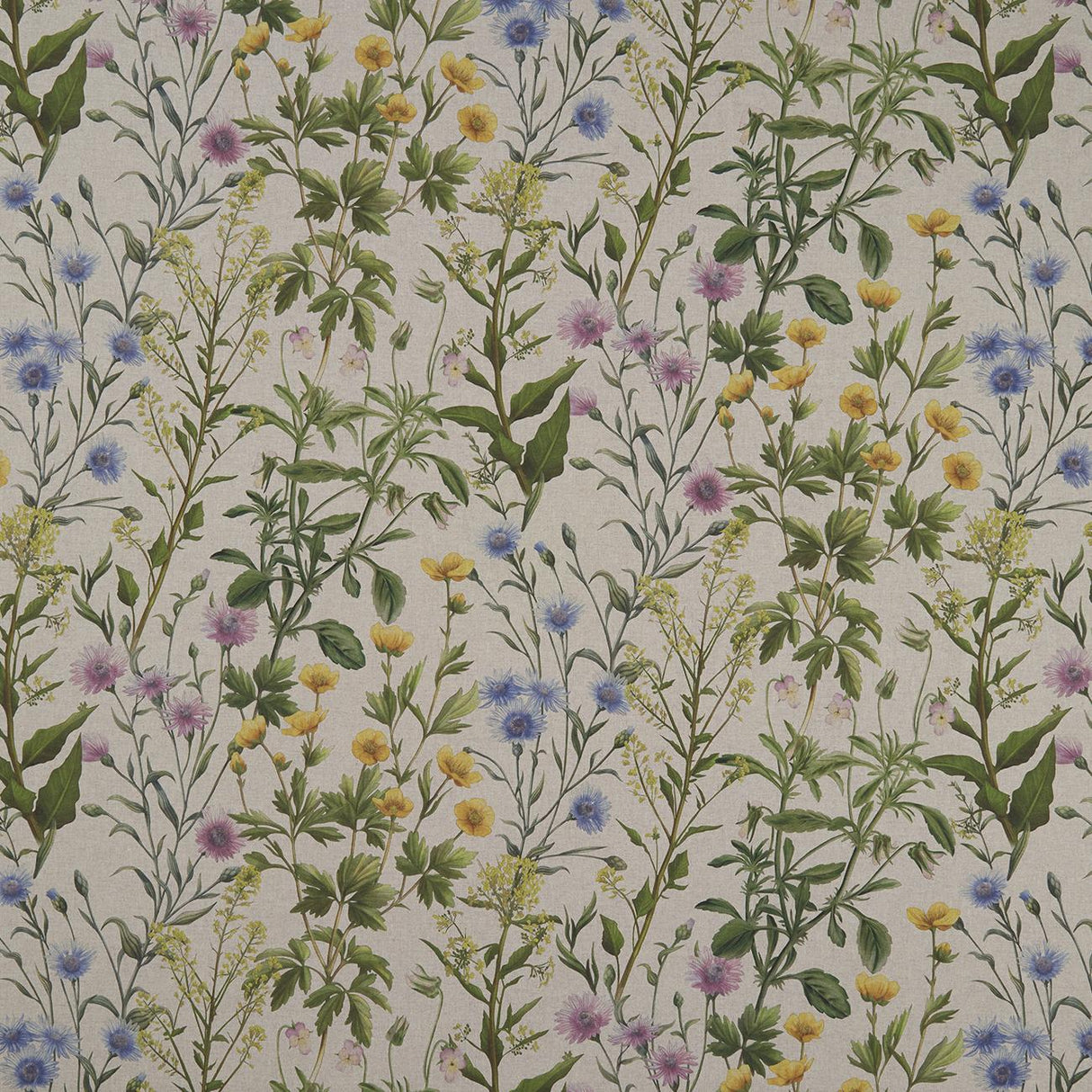 Clarke & Clarke BUTTERCUP LINEN Fabric