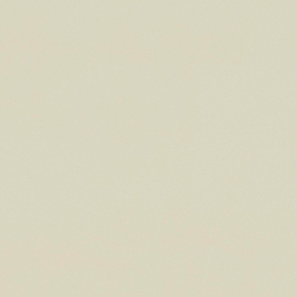 Clarke & Clarke RENZO CREAM Fabric