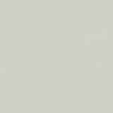 Clarke & Clarke RENZO SILVER Fabric