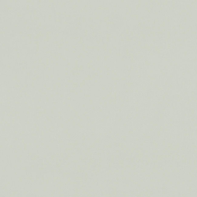 Clarke & Clarke RENZO SILVER Fabric