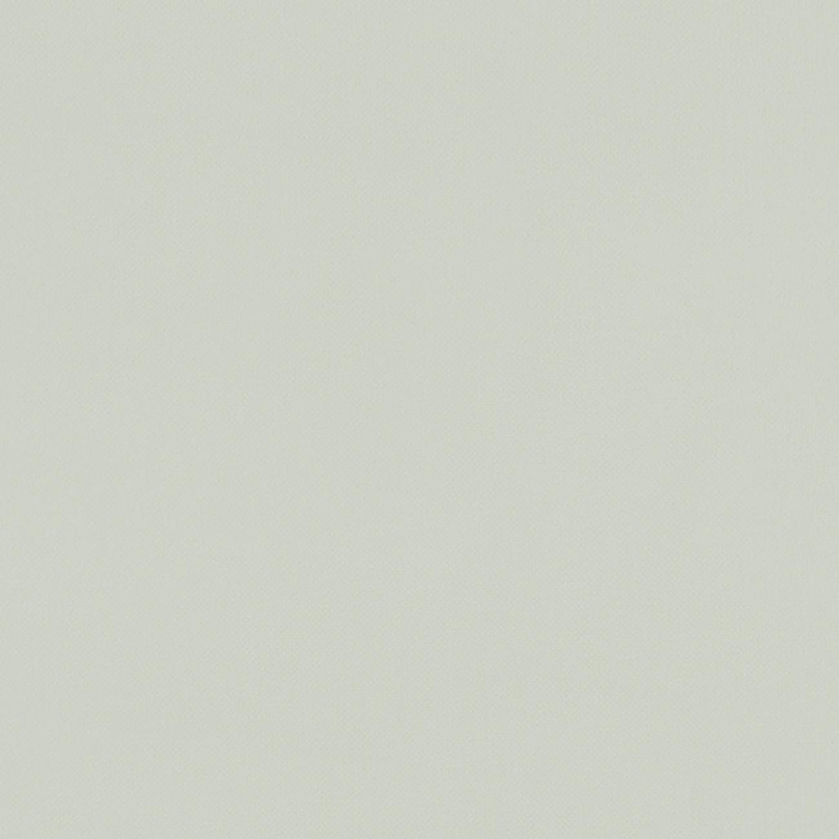 Clarke & Clarke RENZO SILVER Fabric