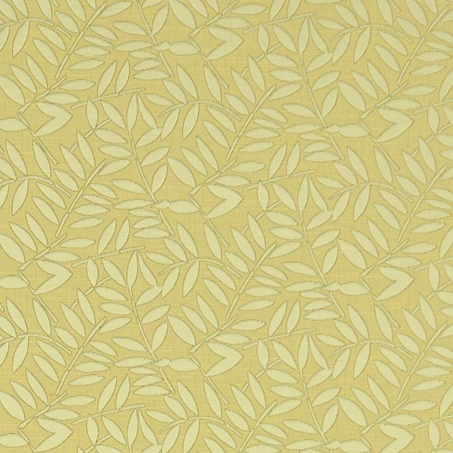 Clarke & Clarke HOLLINS CITRUS Fabric