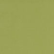 Clarke & Clarke ALORA APPLE Fabric