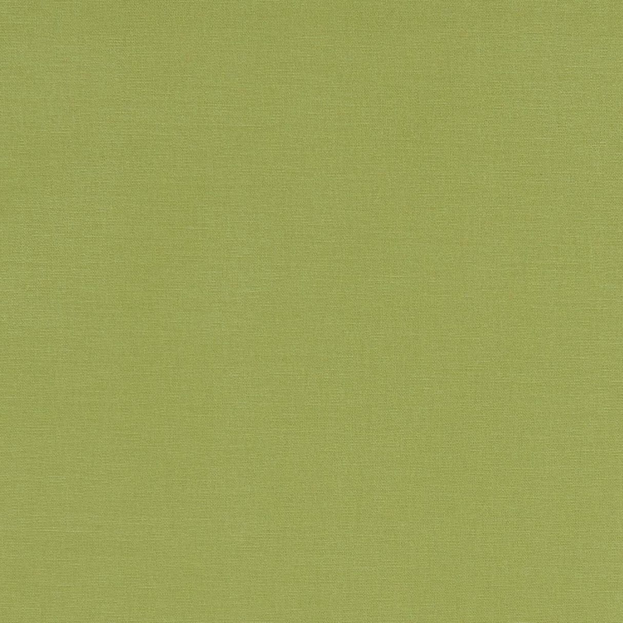 Clarke & Clarke ALORA APPLE Fabric