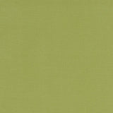 Clarke & Clarke ALORA APPLE Fabric