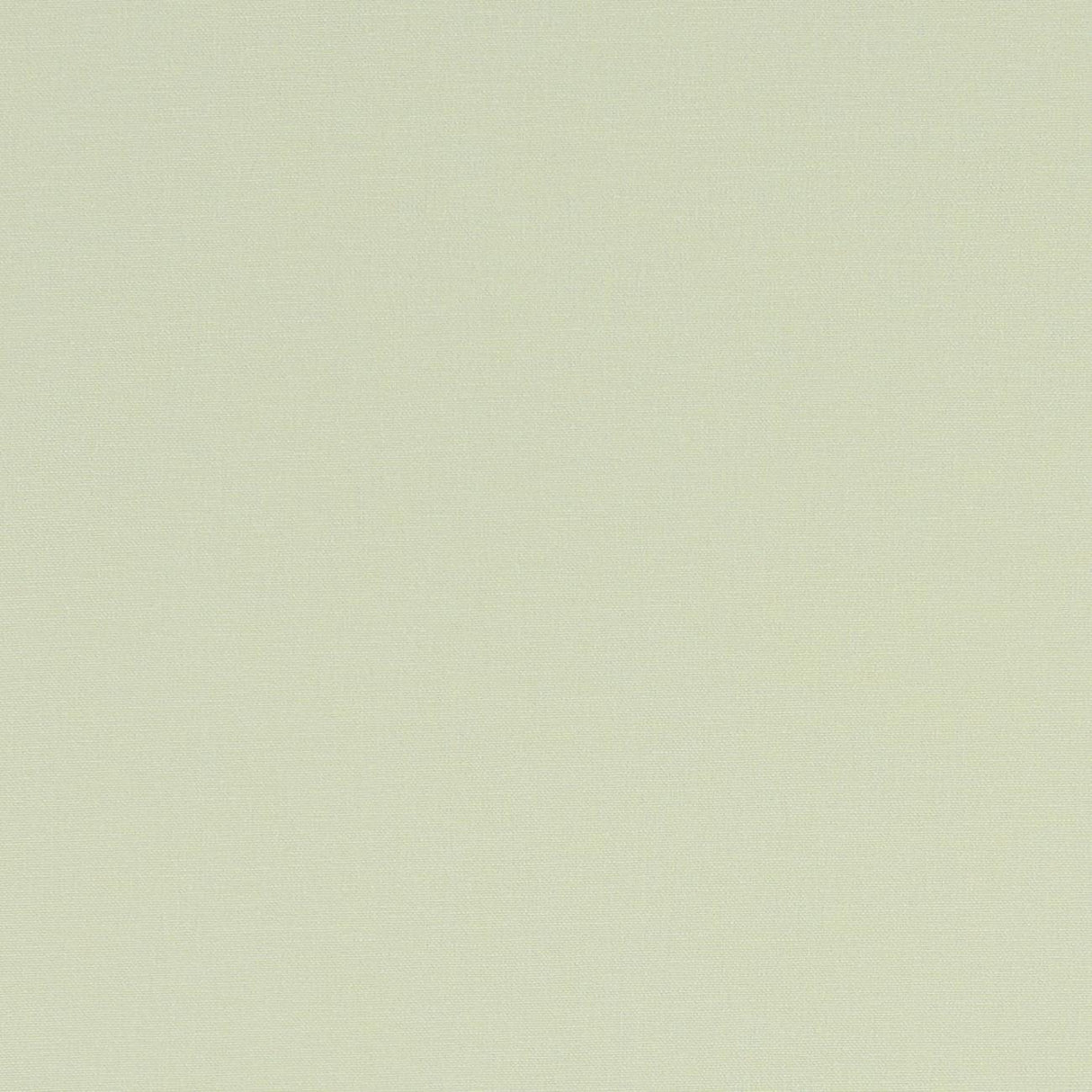 Clarke & Clarke ALORA CELADON Fabric