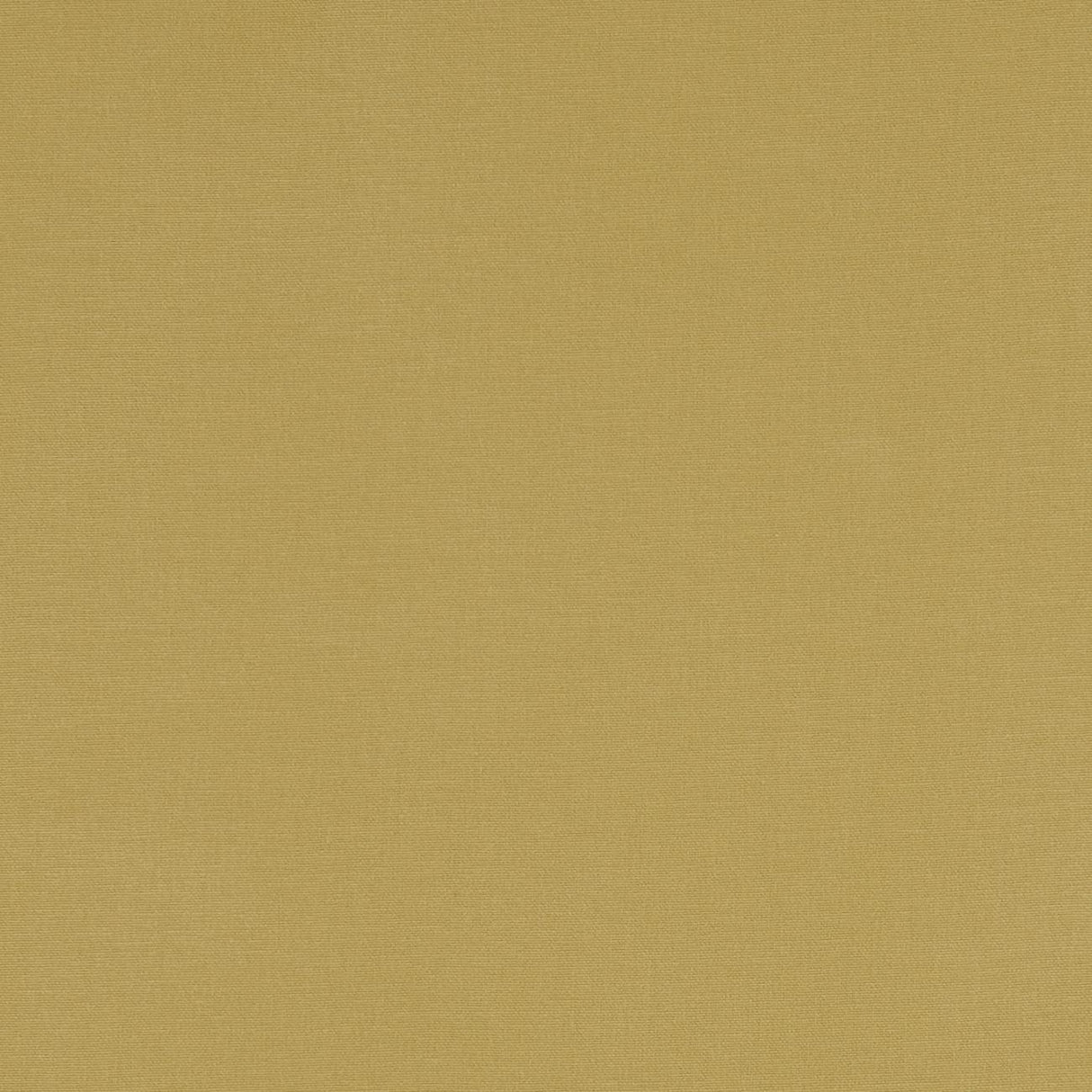 Clarke & Clarke ALORA CHARTREUSE Fabric