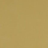 Clarke & Clarke ALORA CHARTREUSE Fabric