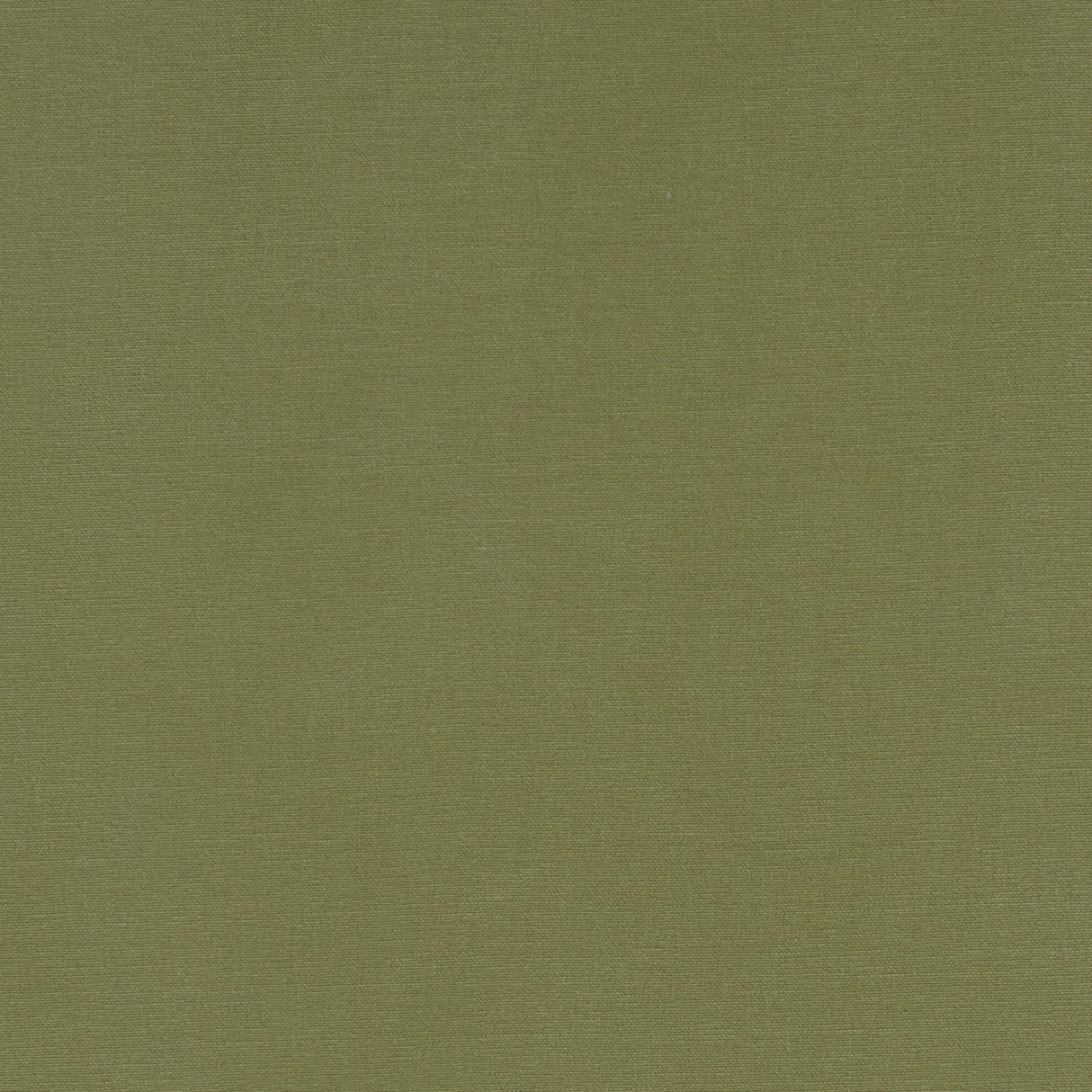 Clarke & Clarke ALORA MOSS Fabric