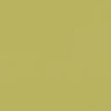 Clarke & Clarke RENZO CITRUS Fabric