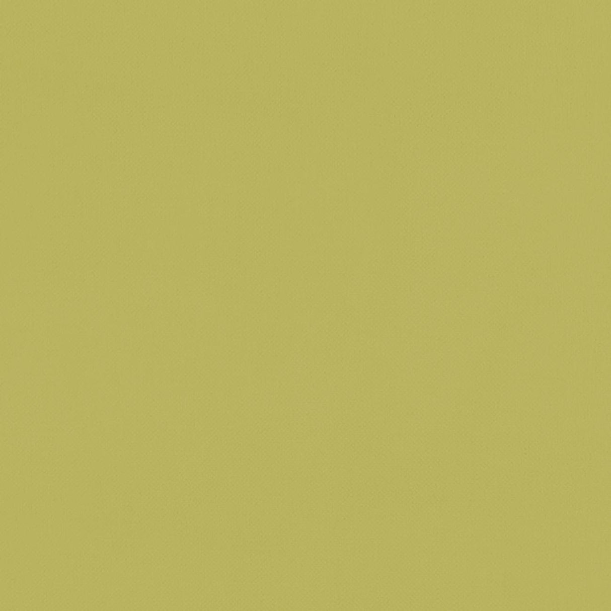 Clarke & Clarke RENZO CITRUS Fabric
