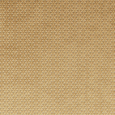 Clarke & Clarke LORETO GOLD Fabric