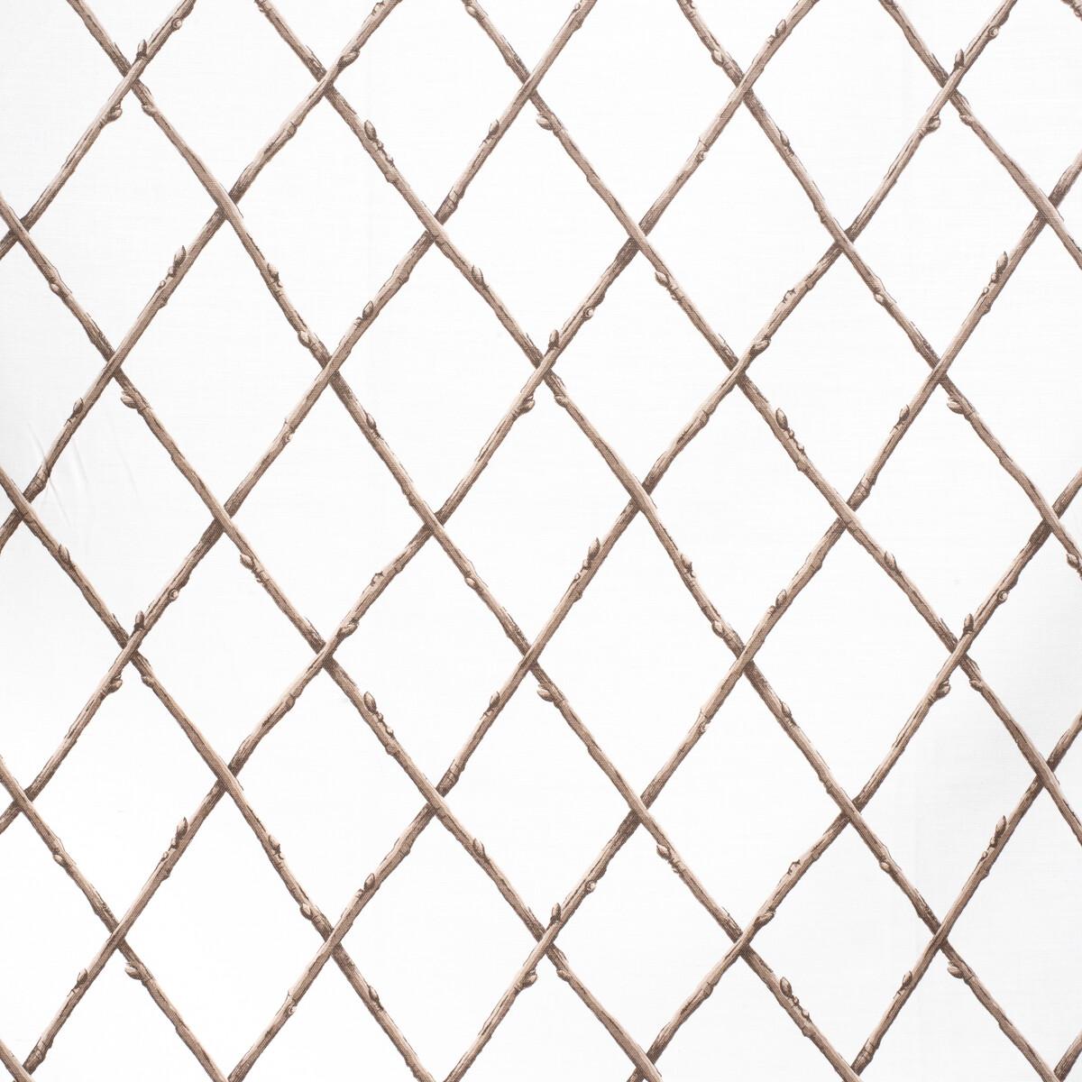 Lee Jofa Bare Twig Trellis Bro/Whi Fabric