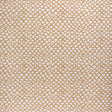 Lee Jofa ROCHE OCHRE Fabric