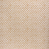 Lee Jofa ROCHE OCHRE Fabric