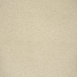 Lee Jofa SAFARI COTTON LIGHT TAUPE Fabric