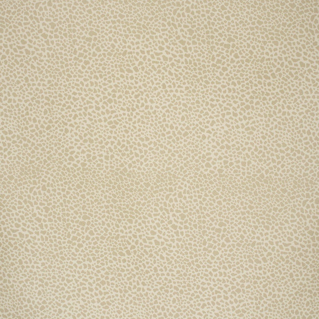 Lee Jofa SAFARI COTTON LIGHT TAUPE Fabric