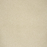 Lee Jofa Safari Cotton Light Taupe Fabric