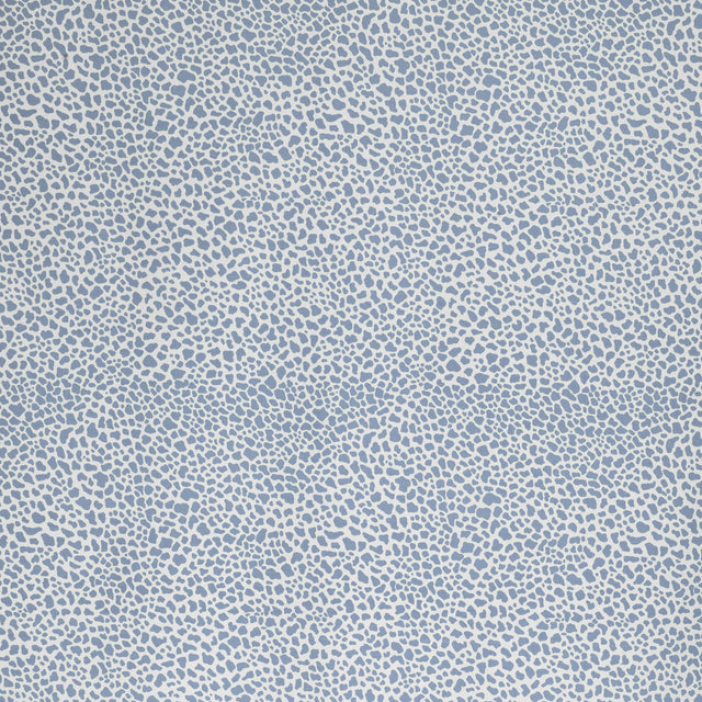 Lee Jofa SAFARI COTTON SKY Fabric