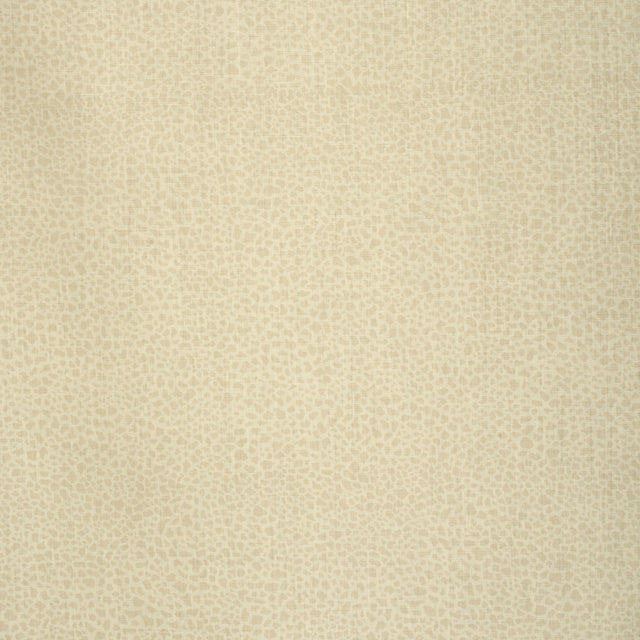 Lee Jofa SAFARI LINEN LIGHT BLUSH Fabric