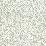 Lee Jofa Safari Linen Celadon Fabric