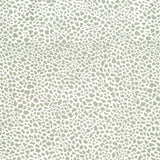 Lee Jofa SAFARI LINEN CELADON Fabric