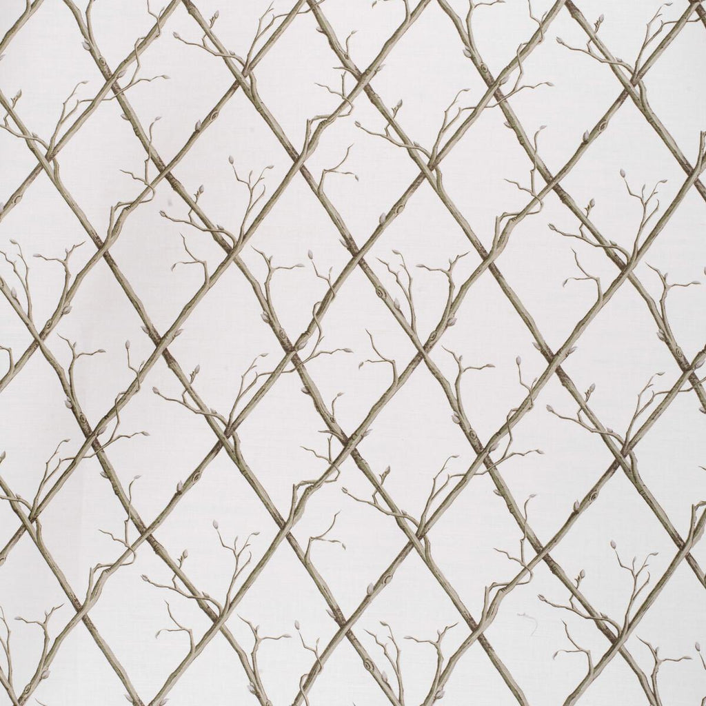 Lee Jofa TWIG TRELLIS GREEN/WHITE Fabric