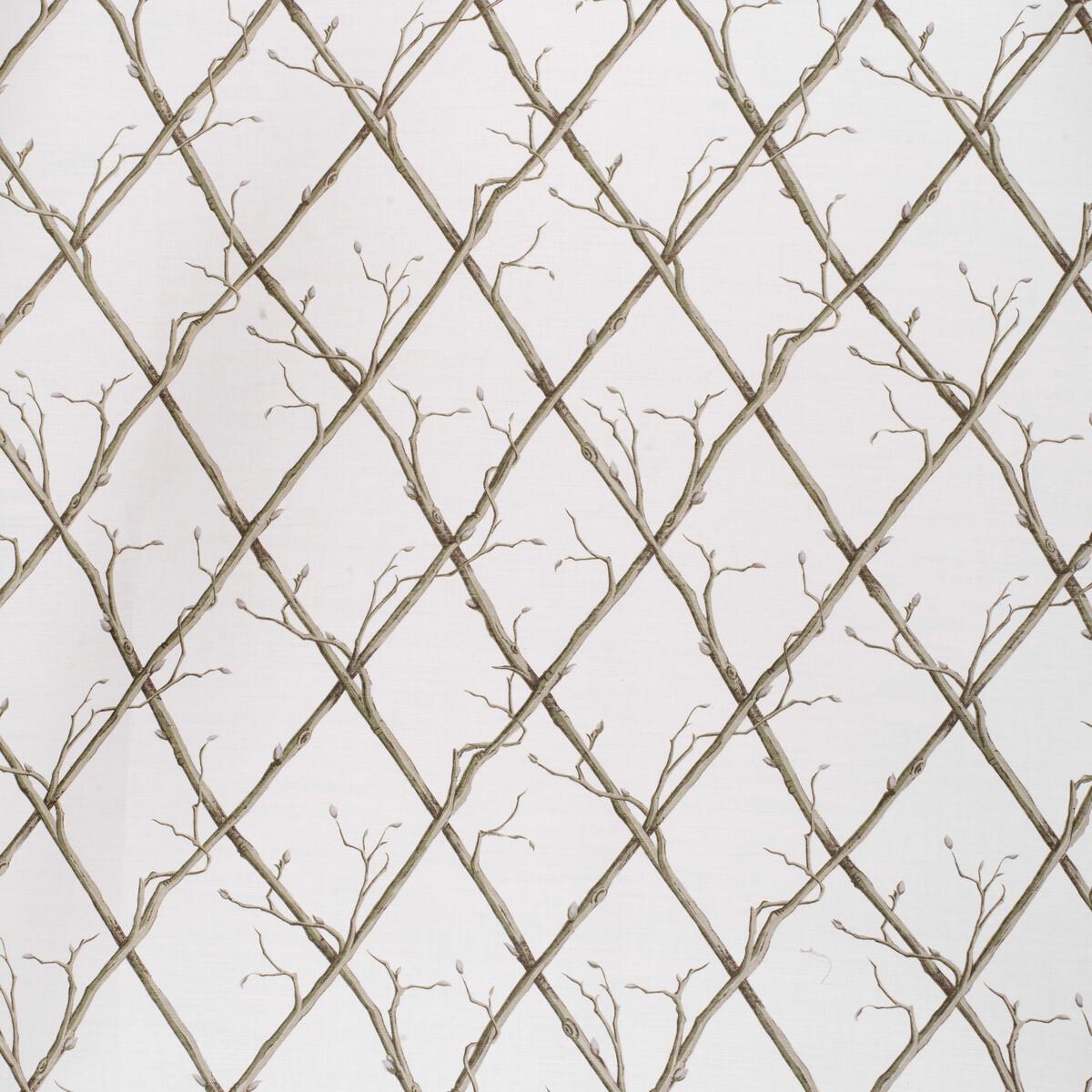 Lee Jofa Twig Trellis Green/White Fabric