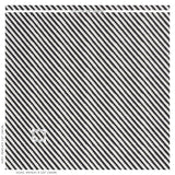 Schumacher Zeppelin Black Fabric