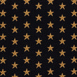 Schumacher Star Pingl Black Fabric