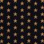 Schumacher Star Pingl Black Fabric