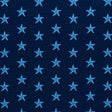 Schumacher Star Pingl Blue Fabric