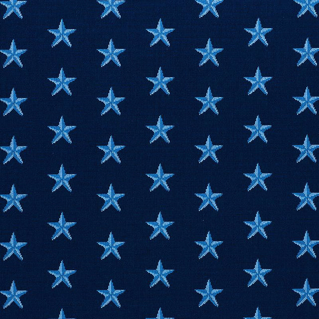 Schumacher Star Pingl Blue Fabric