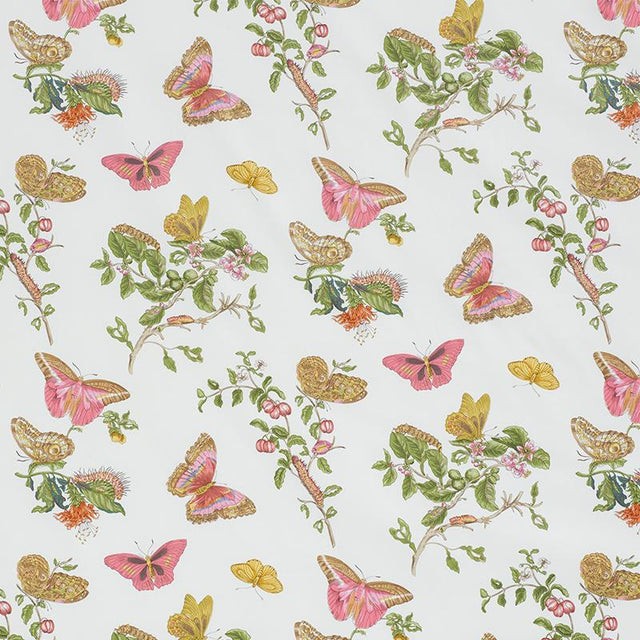 Schumacher Baudin Butterfly Chintz Blush Fabric